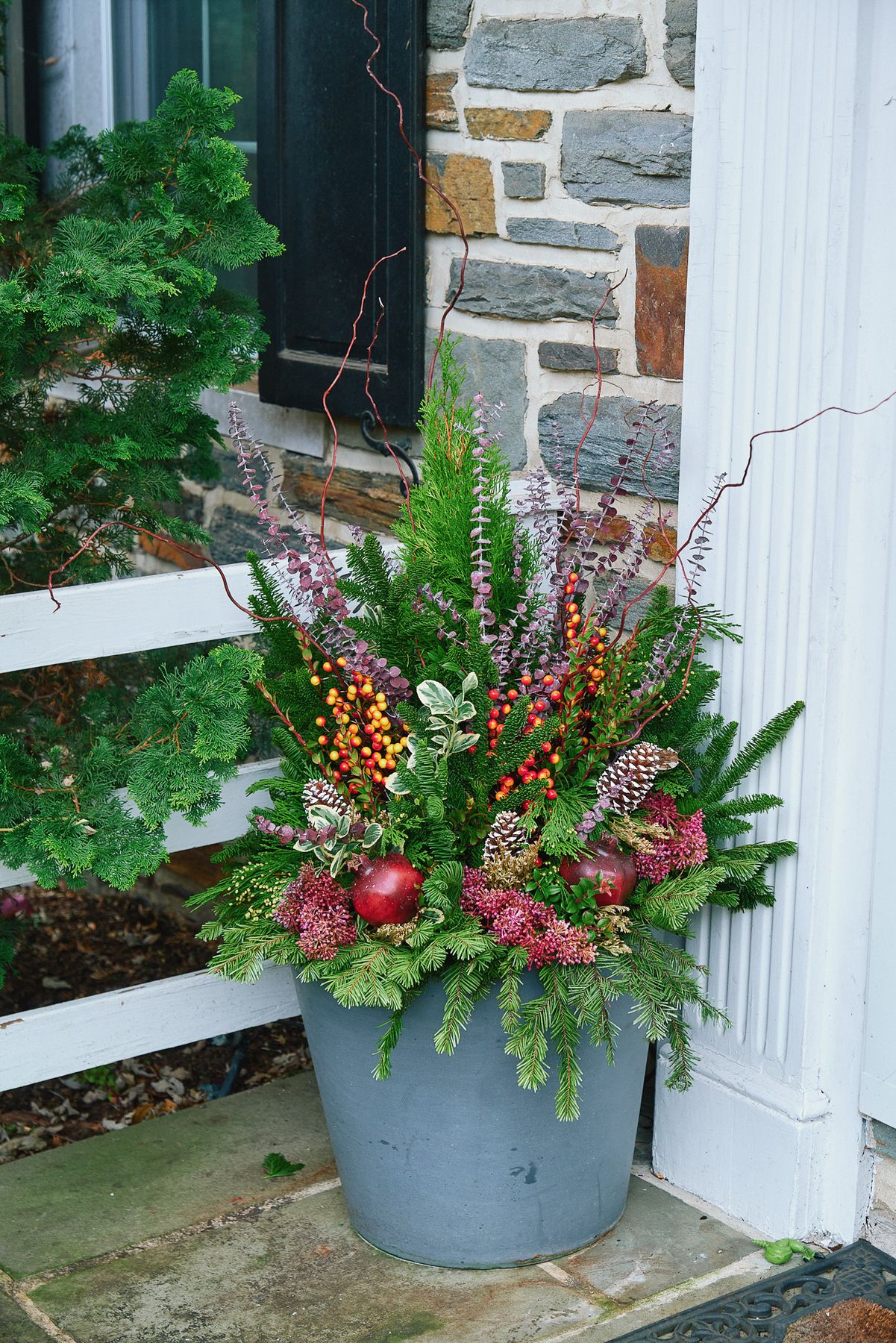 Enliven Planters winter container arrangement